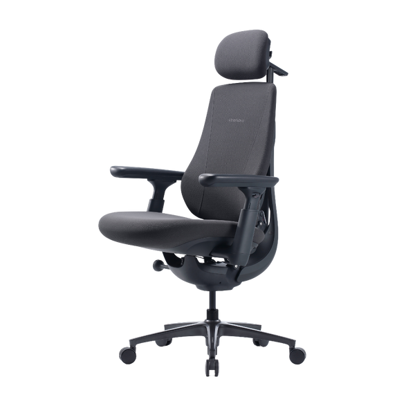 LiberNovo Maxis Manual Dynamic Ergonomic Chair
