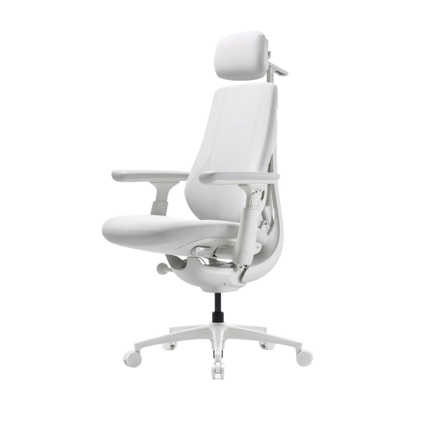 LiberNovo Maxis Airflow Dynamic Ergonomic Chair

