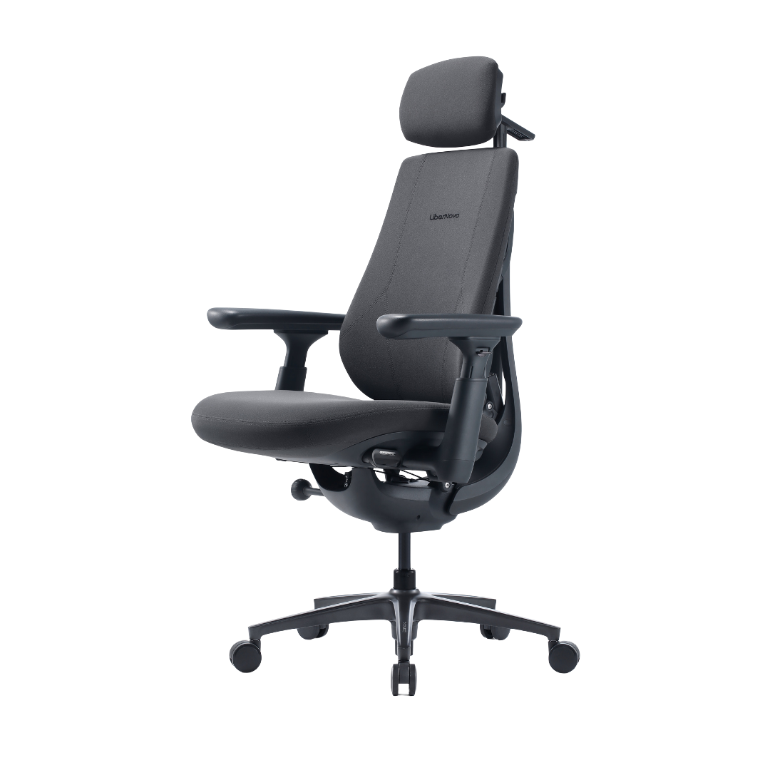 LiberNovo Maxis Airflow Dynamic Ergonomic Chair

