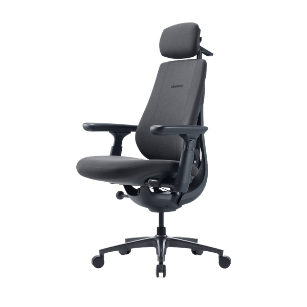 LiberNovo Maxis Airflow Dynamic Ergonomic Chair
