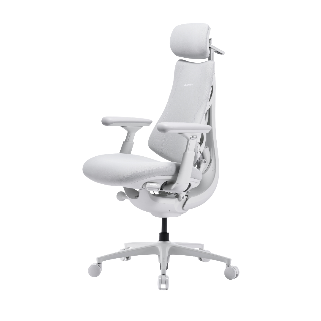 LiberNovo Omni Pro Dynamic Ergonomic Chair
