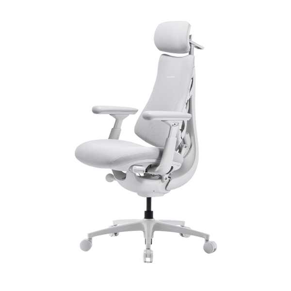 LiberNovo Omni Pro Dynamic Ergonomic Chair
