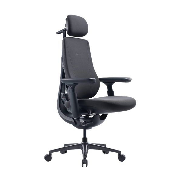 LiberNovo Maxis Manual Dynamic Ergonomic Chair
