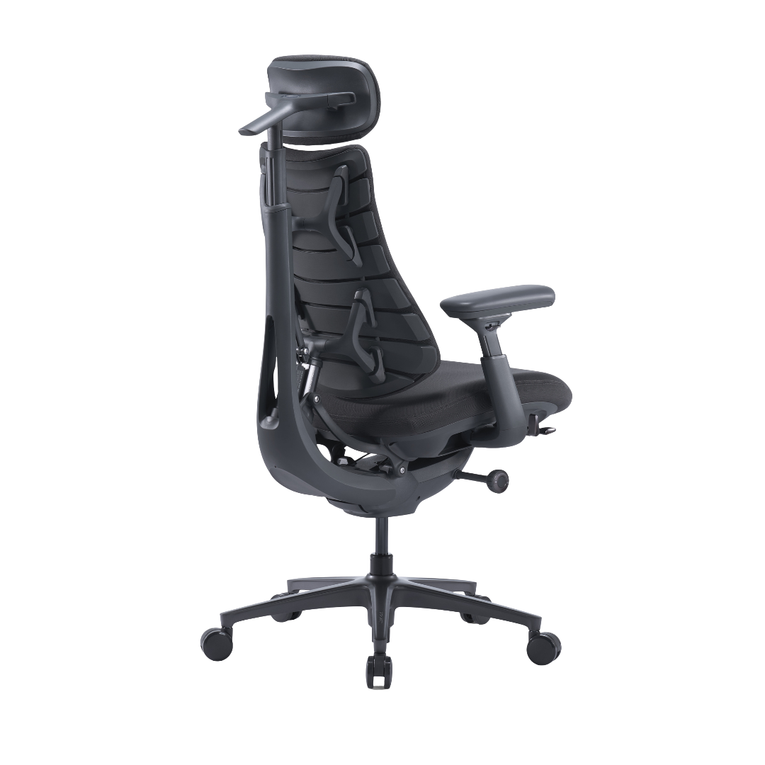 LiberNovo Omni Pro Dynamic Ergonomic Chair
