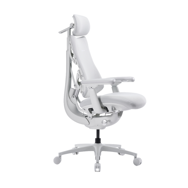 LiberNovo Omni Pro Dynamic Ergonomic Chair
