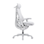 LiberNovo Omni Pro Dynamic Ergonomic Chair
