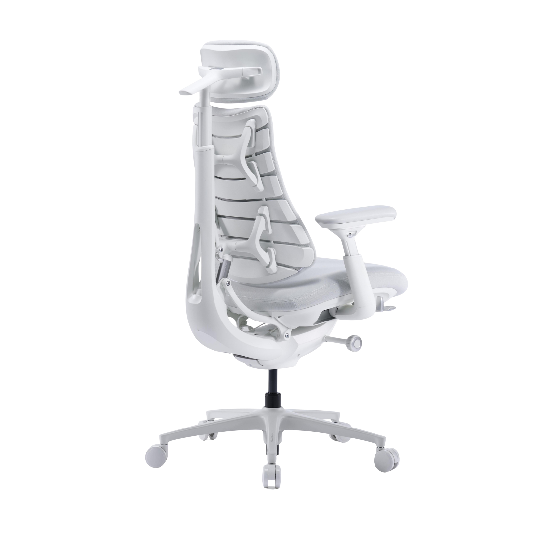LiberNovo Omni Pro Dynamic Ergonomic Chair
