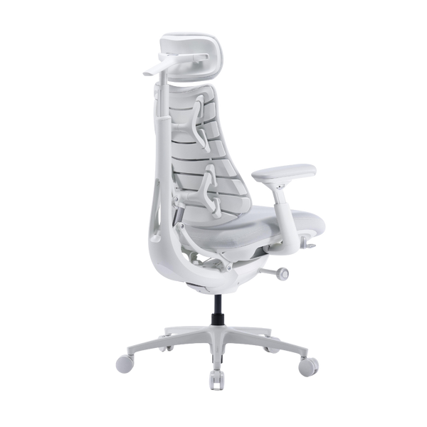 LiberNovo Omni Pro Dynamic Ergonomic Chair
