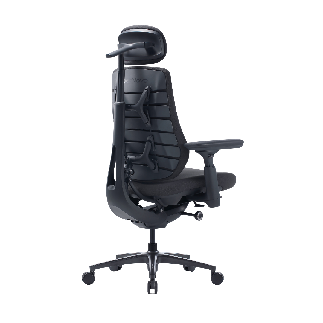 LiberNovo Maxis Manual Dynamic Ergonomic Chair
