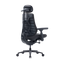 LiberNovo Maxis Manual Dynamic Ergonomic Chair
