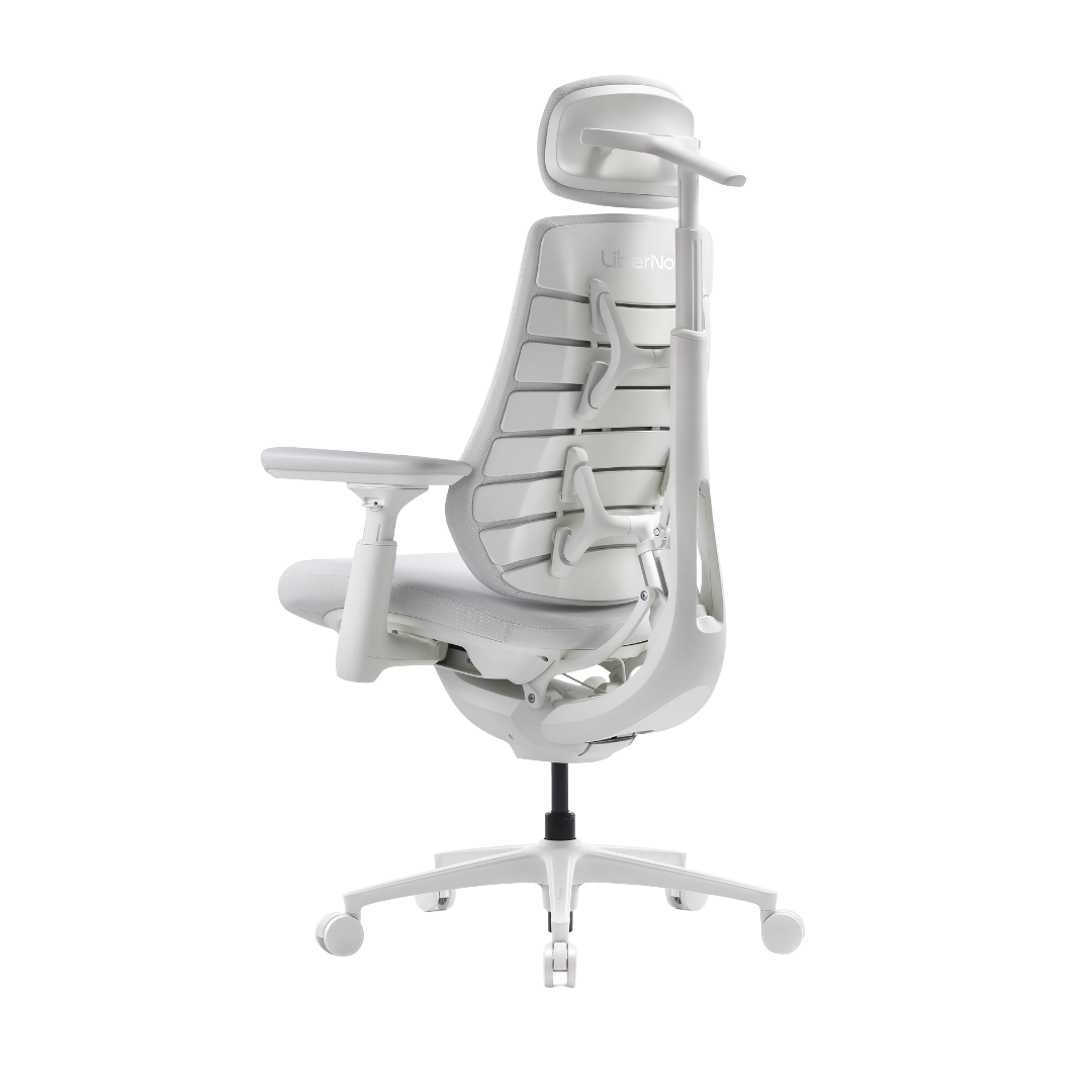 LiberNovo Maxis Airflow Dynamic Ergonomic Chair
