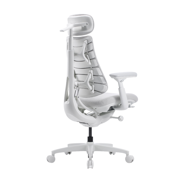 LiberNovo Omni Gen Dynamic Ergonomic Chair
