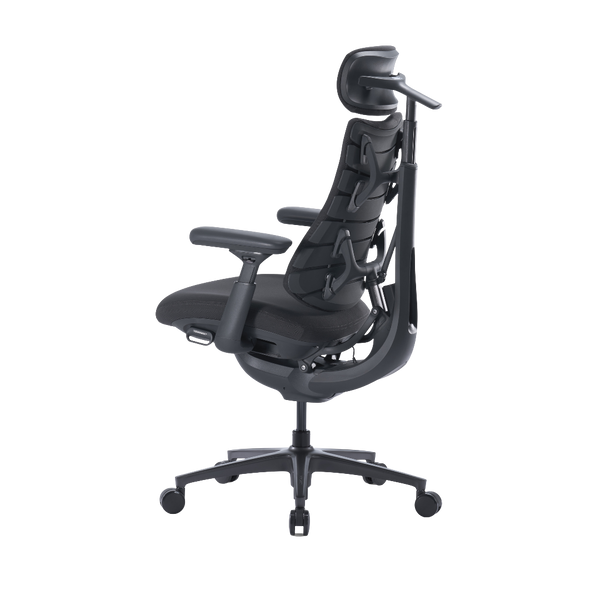 LiberNovo Omni Pro Dynamic Ergonomic Chair
