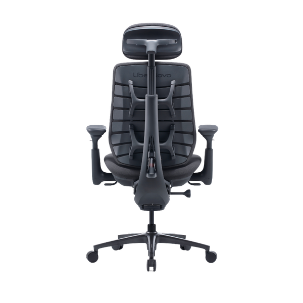 LiberNovo Maxis Manual Dynamic Ergonomic Chair
