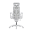 LiberNovo Omni Gen Dynamic Ergonomic Chair

