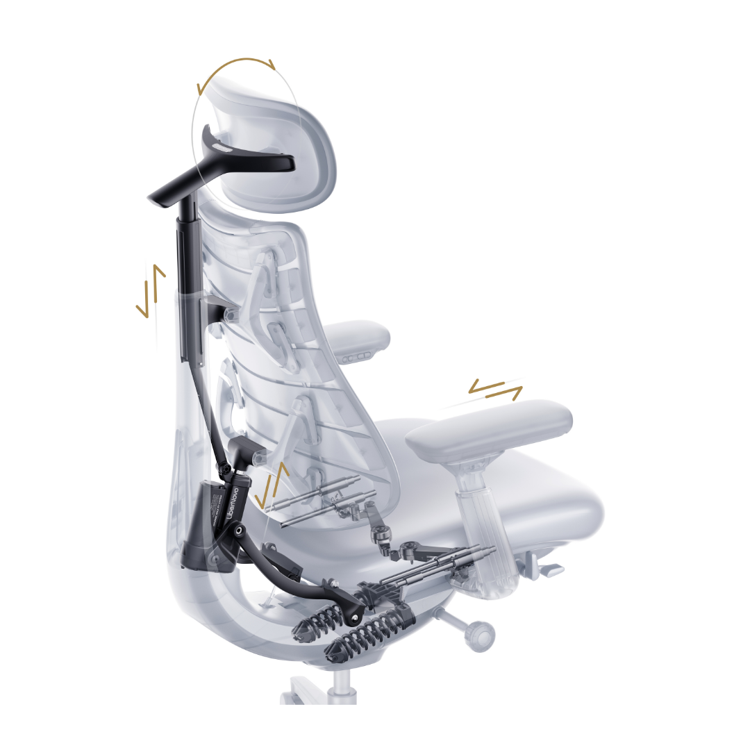 LiberNovo Omni Pro Dynamic Ergonomic Chair
