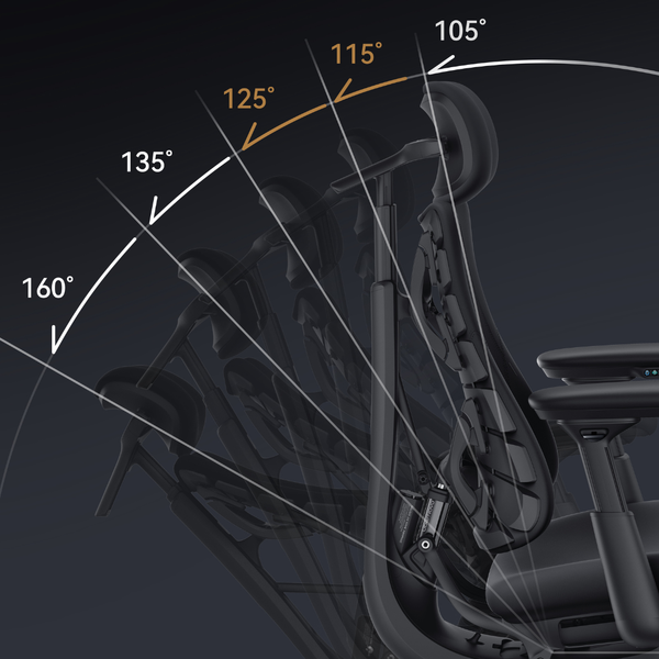 LiberNovo Omni Pro Dynamic Ergonomic Chair
