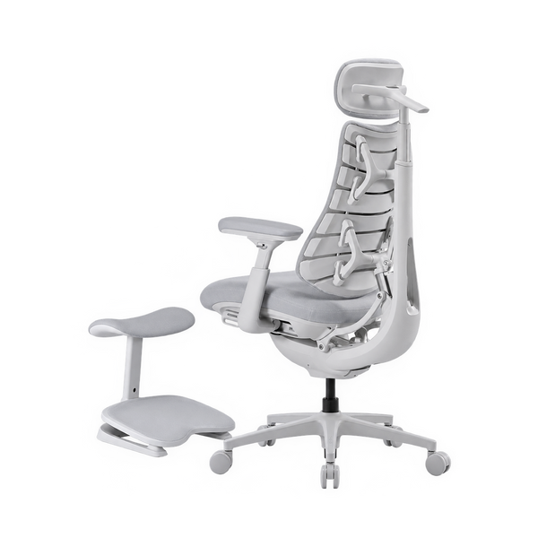 LiberNovo Maxis Airflow Dynamic Ergonomic Chair
