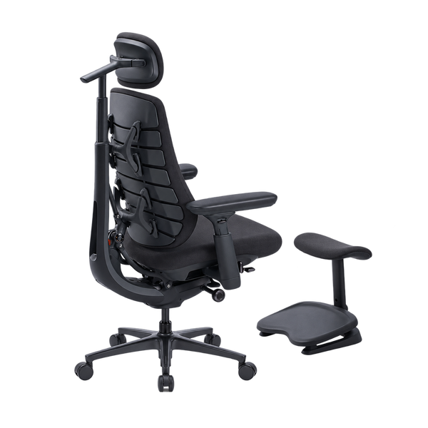 LiberNovo Maxis Manual Dynamic Ergonomic Chair
