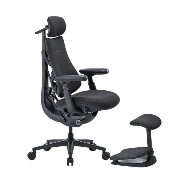 LiberNovo Omni Pro Dynamic Ergonomic Chair

