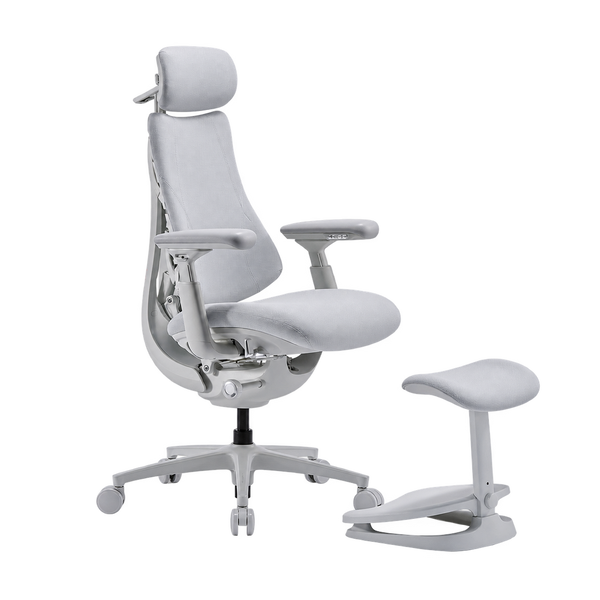 LiberNovo Maxis Airflow Dynamic Ergonomic Chair
