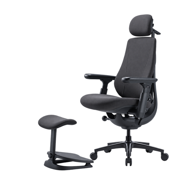 LiberNovo Maxis Manual Dynamic Ergonomic Chair
