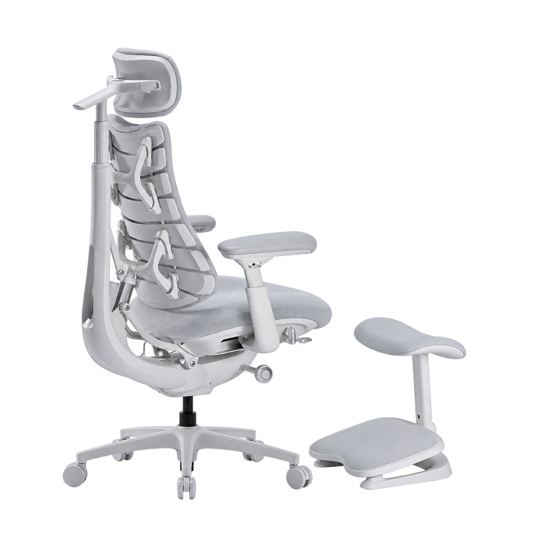 LiberNovo Omni Pro Dynamic Ergonomic Chair
