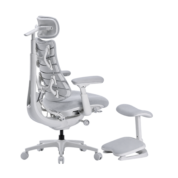 LiberNovo Omni Pro Dynamic Ergonomic Chair
